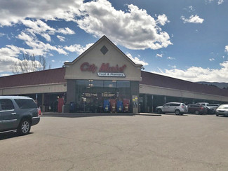 More details for 1011-1051 Highway 133, Carbondale, CO - Retail for Rent