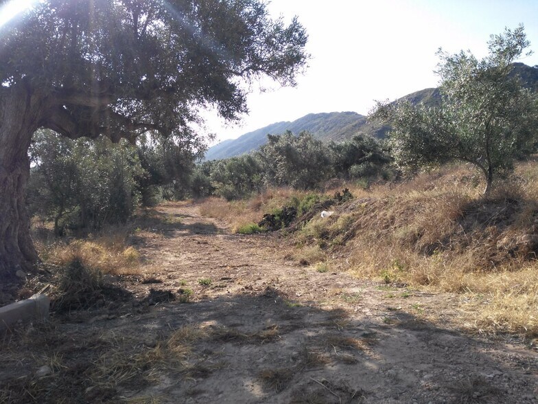 Land in Calasparra, Murcia for sale - Site Plan - Image 3 of 25