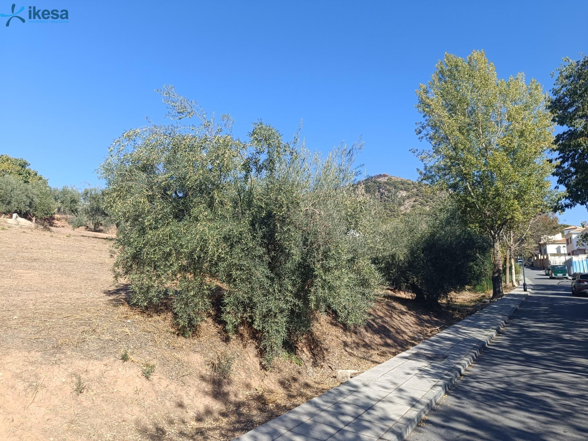 Land in Nívar, Granada to rent Site Plan- Image 1 of 6