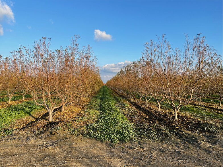 Adams & Riverbend Aves., Parlier, CA for sale - Primary Photo - Image 1 of 1