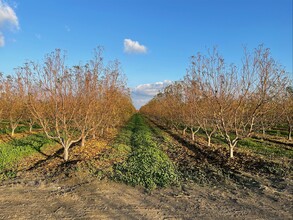 Adams & Riverbend Aves., Parlier, CA for sale Primary Photo- Image 1 of 1