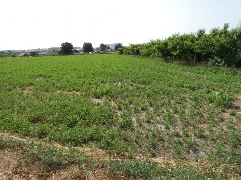 Land in Alguazas, Murcia for sale - Site Plan - Image 3 of 7