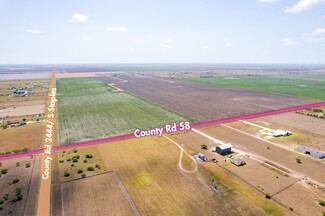 More details for CR 2444, Corpus Christi, TX - Land for Sale