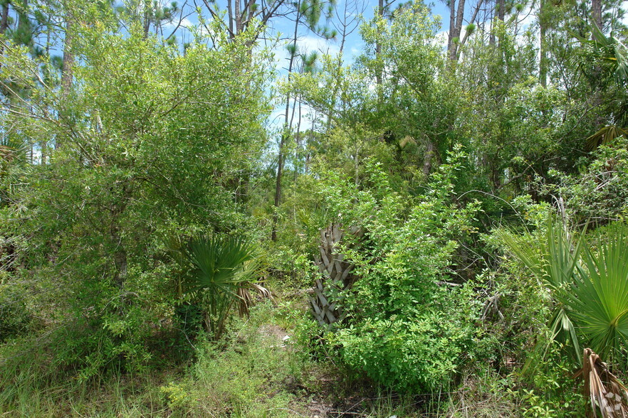 Turnpike Feeder Rd, Fort Pierce, FL for sale - Primary Photo - Image 1 of 1