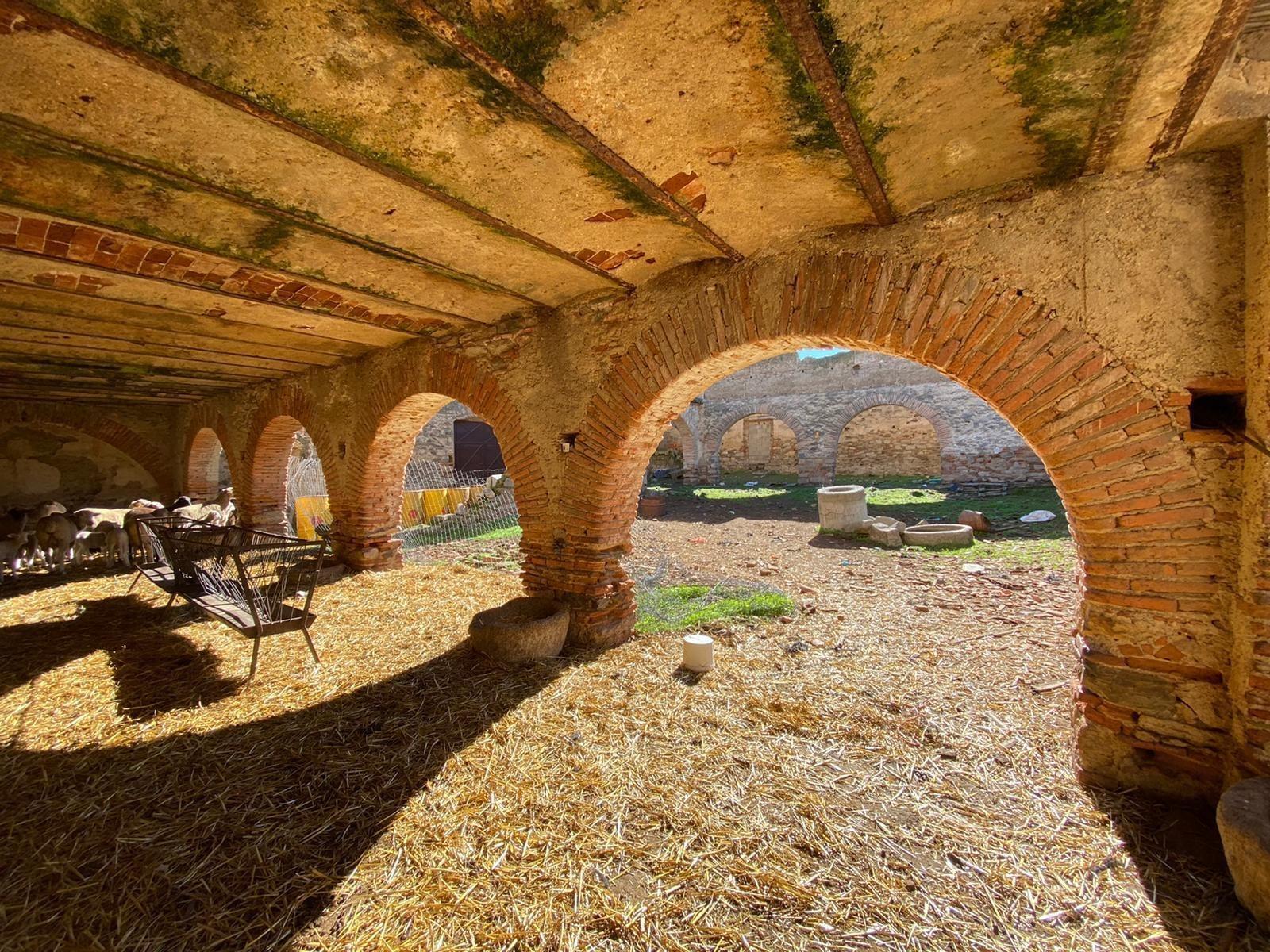 Land in Casar de Cáceres, Cáceres for sale Primary Photo- Image 1 of 10