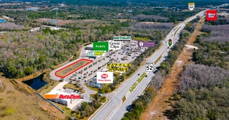 More details for SR 52 & Hays Rd, Hudson, FL - Land for Sale