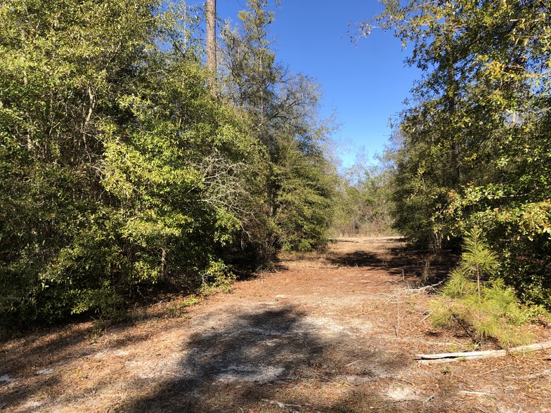 Asbury Church Rd, Gordon, GA for sale - Primary Photo - Image 1 of 1