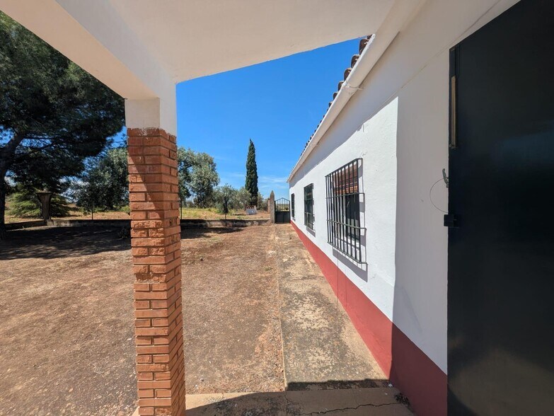 Land in Solana de los Barros, Badajoz for sale - Primary Photo - Image 2 of 49