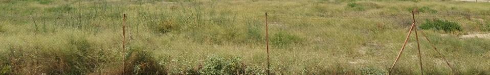 Land in Murcia, Murcia for sale Building Photo- Image 1 of 2
