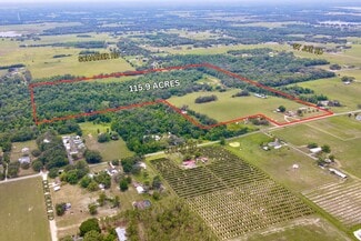More details for 14409 Curley Rd, Dade City, FL - Land for Sale