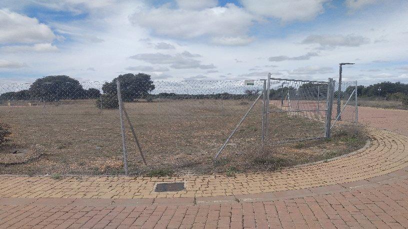 Land in Carrascal de Barregas, Salamanca to rent - Building Photo - Image 3 of 6