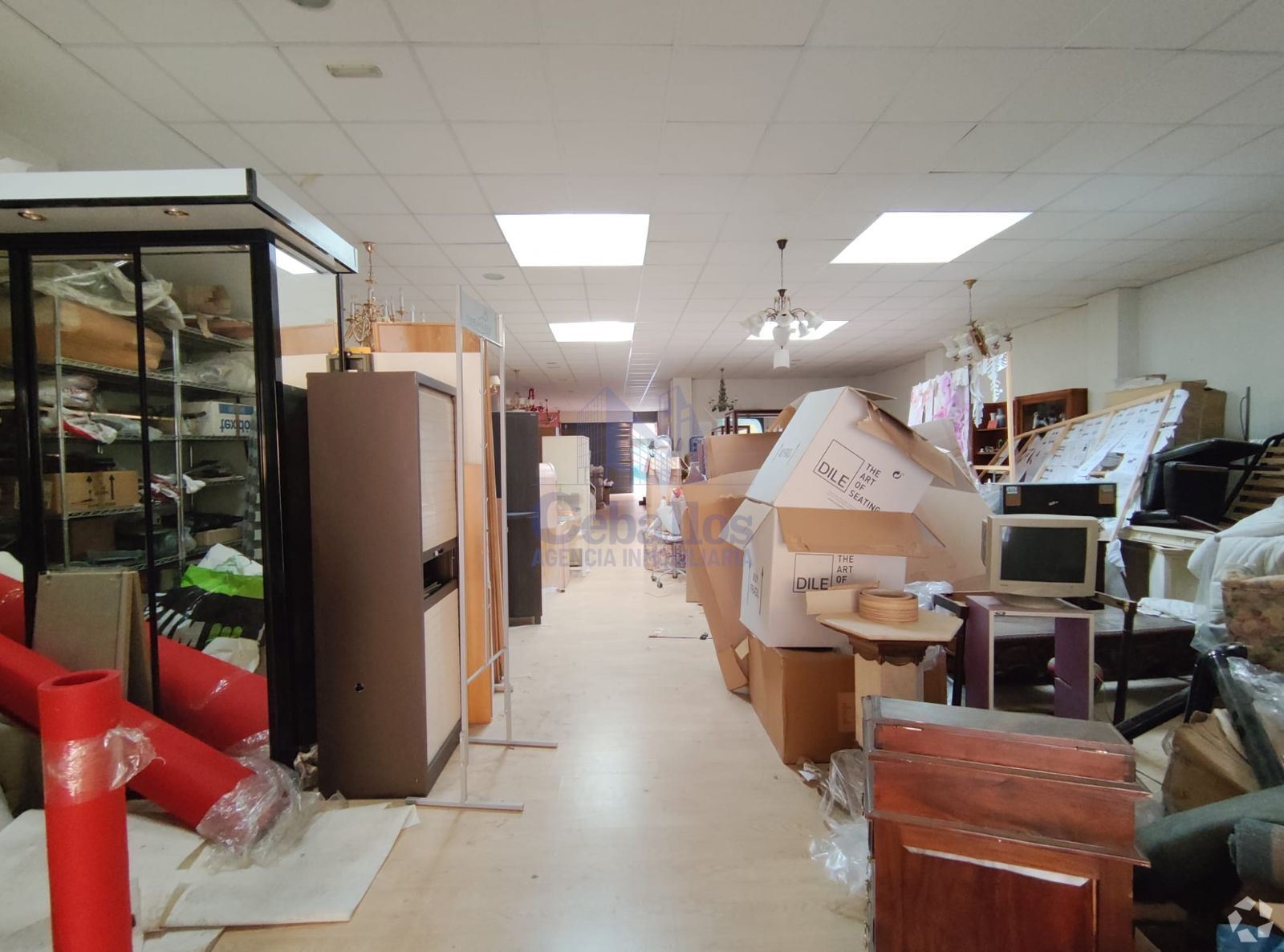 Retail in Guadalajara, Guadalajara to rent Interior Photo- Image 1 of 2