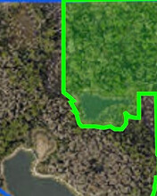 Forest Lakes Blvd, Oldsmar, FL - aerial  map view - Image1