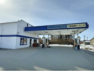 More details for 2001 15 Ave, Didsbury, AB - Retail for Sale