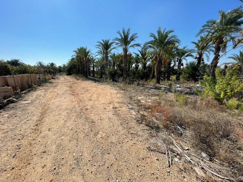 Land in Crevillent, Alicante for sale - Site Plan - Image 3 of 5
