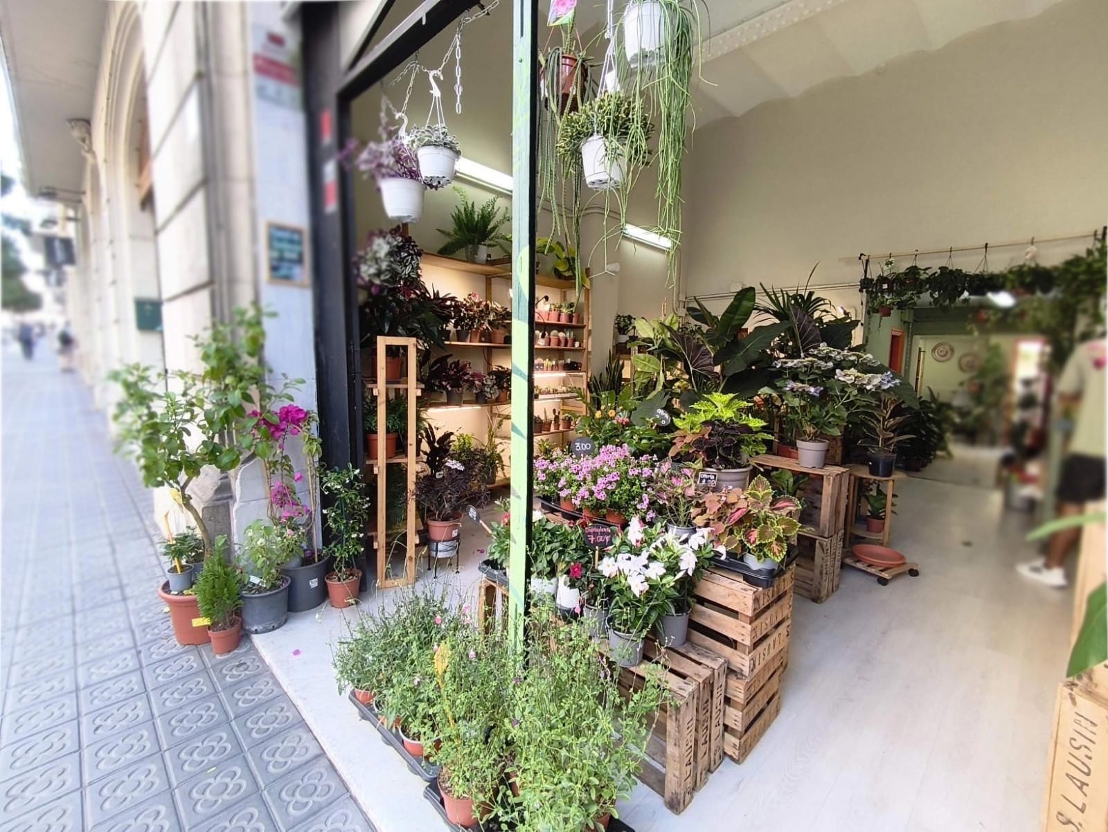 Retail in Barcelona, Barcelona to rent Interior Photo- Image 1 of 12
