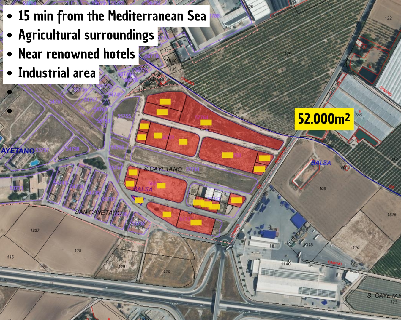 Land in Torre-Pacheco, Murcia for sale Primary Photo- Image 1 of 4