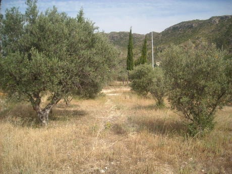 Land in Calasparra, Murcia for sale - Site Plan - Image 2 of 10