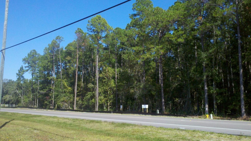 US Hwy 331 S, Freeport, FL for sale - Other - Image 1 of 1