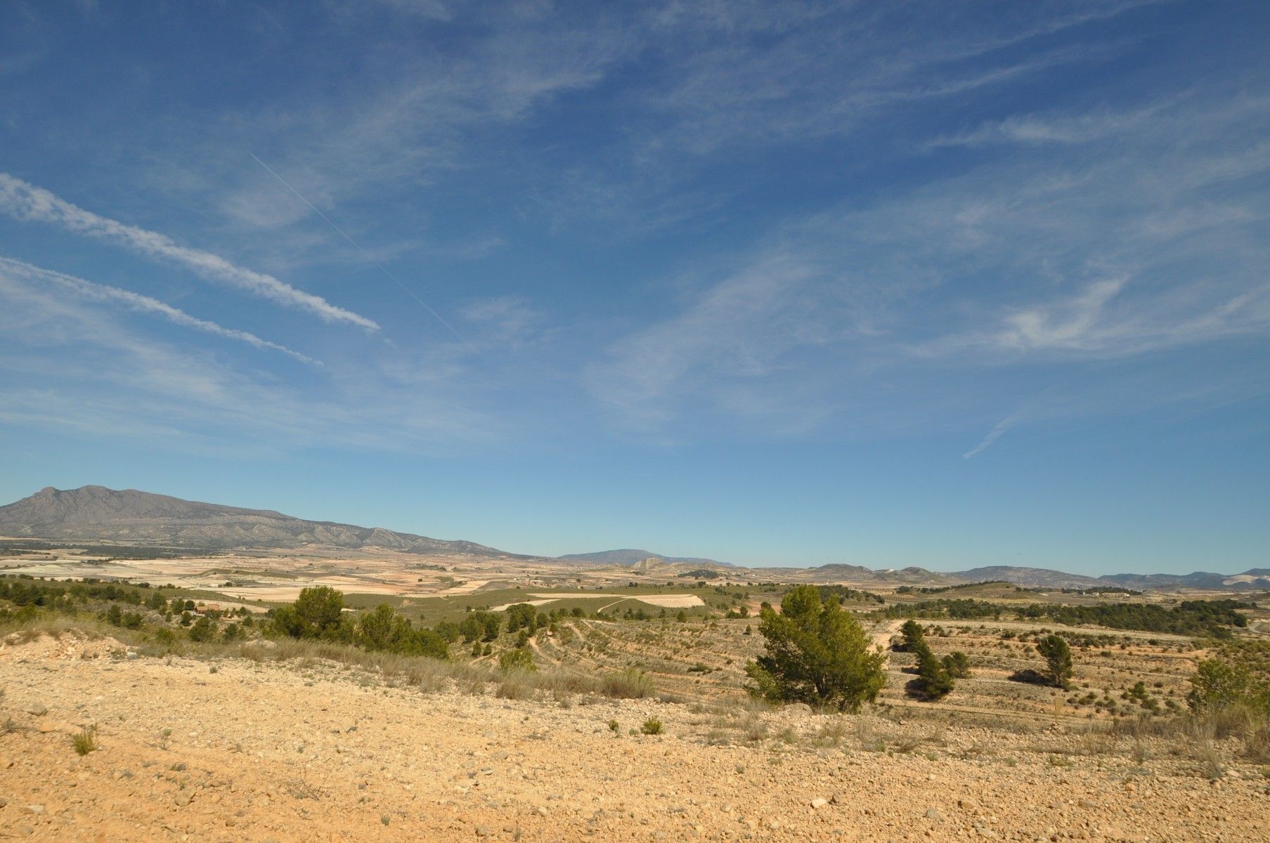 Land in Jumilla, Murcia for sale Aerial- Image 1 of 24