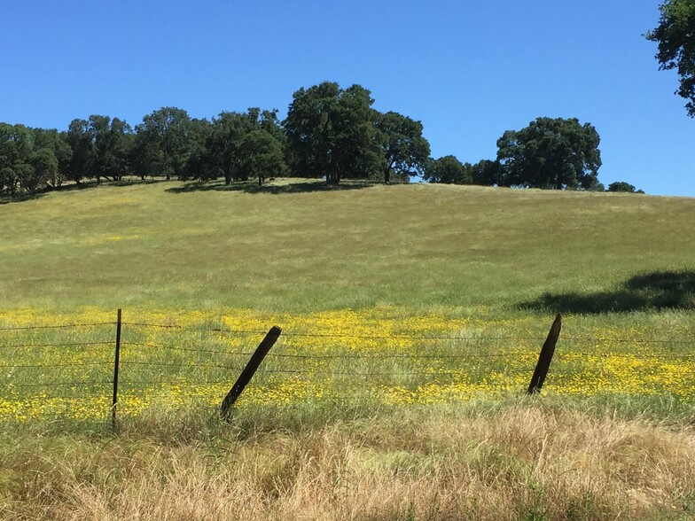 9005 Old Sacramento Rd, Plymouth, CA for sale - Building Photo - Image 1 of 1