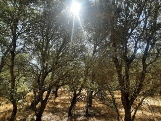More details for Land for Sale