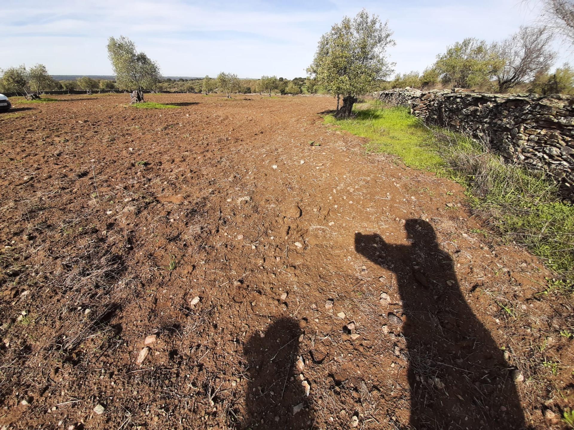 Land in Cáceres, Cáceres for sale Site Plan- Image 1 of 3