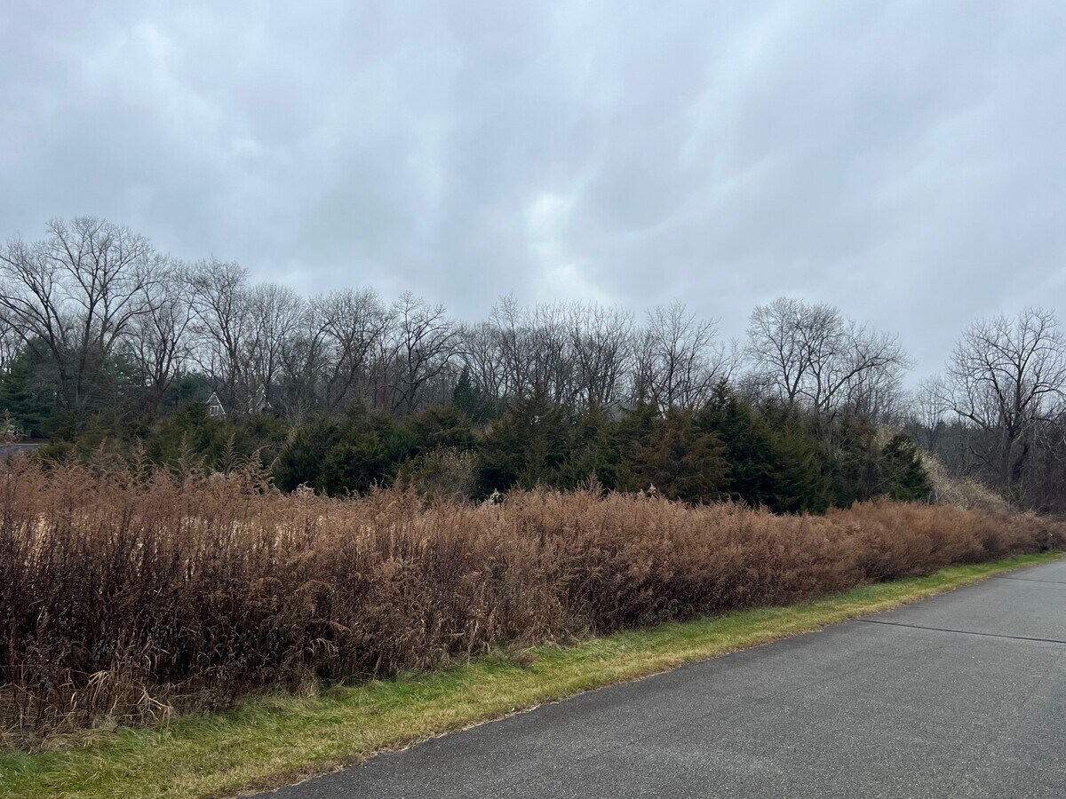 236240 Demarest Rd, Sparta 07871 Retail for Sale UK