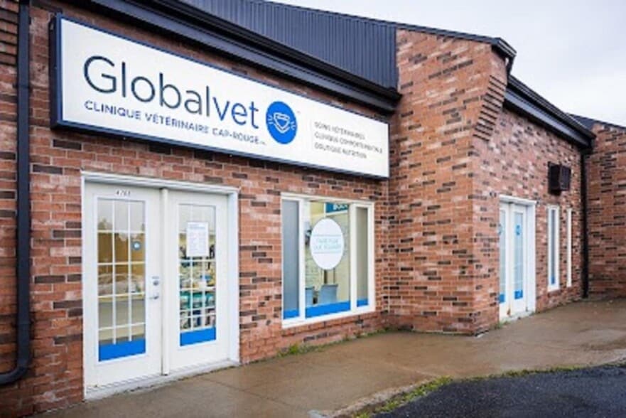 8 Vet Clinics portfolio of 8 properties for sale on LoopNet.co.uk - Primary Photo - Image 2 of 5