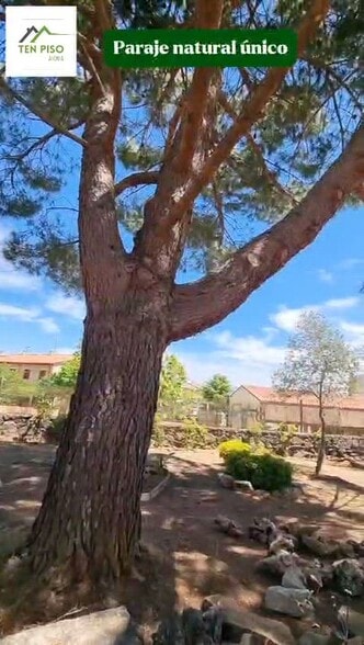 Calle Picota, s/n, Tamajón, Guadalajara for sale - Commercial Listing Video - Image 2 of 30