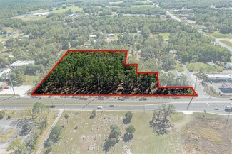 More details for 3132 Gulf To Lake hwy, Lecanto, FL - Land for Sale