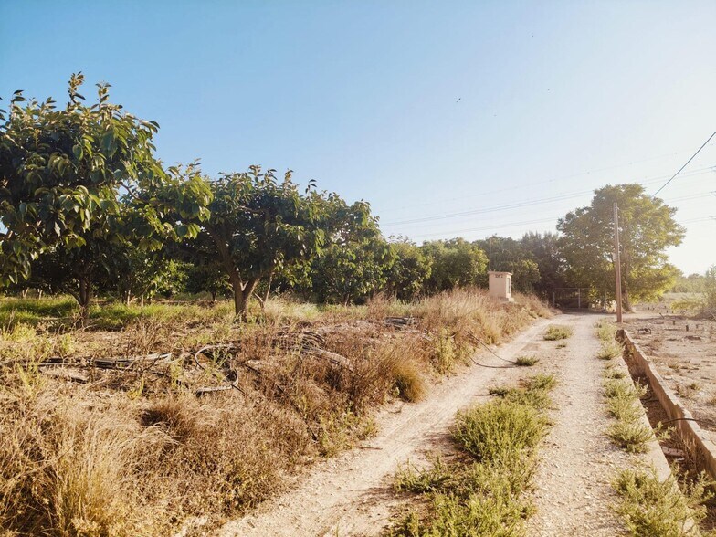 Land in Alzira, Valencia for sale - Building Photo - Image 2 of 2