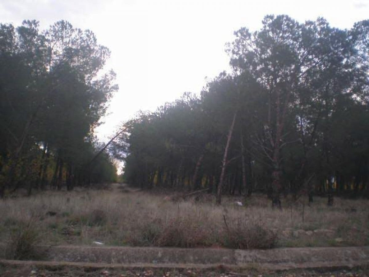 Land in Salamanca, Salamanca for sale Primary Photo- Image 1 of 4