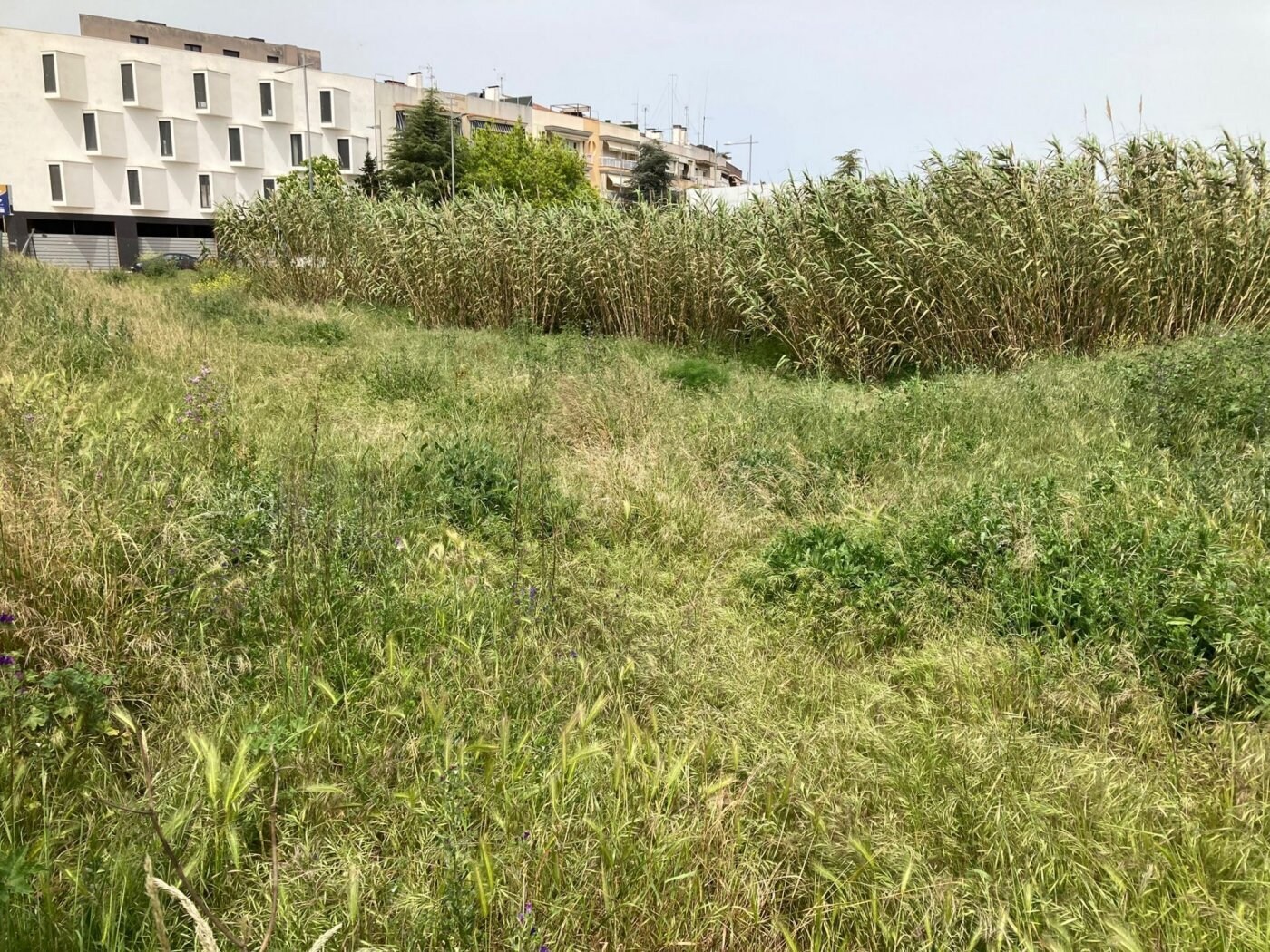 Land in Tordera, Barcelona for sale Building Photo- Image 1 of 7