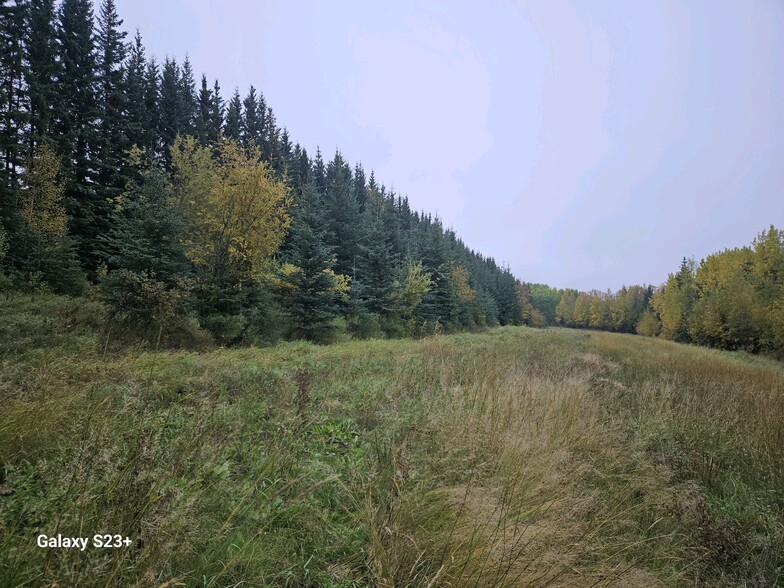 Ski Boot Hill Rd, Fairbanks, AK for sale - Primary Photo - Image 1 of 5