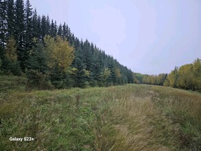 Ski Boot Hill Rd, Fairbanks, AK for sale Primary Photo- Image 1 of 6