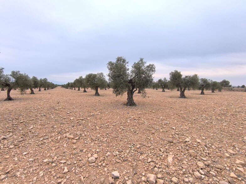 Land in Yecla, Murcia for sale - Primary Photo - Image 2 of 7