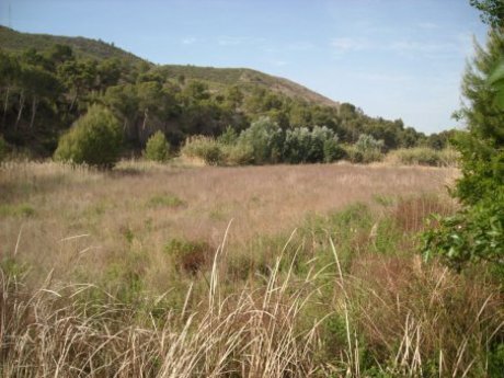 Land in Calasparra, Murcia for sale - Building Photo - Image 1 of 16
