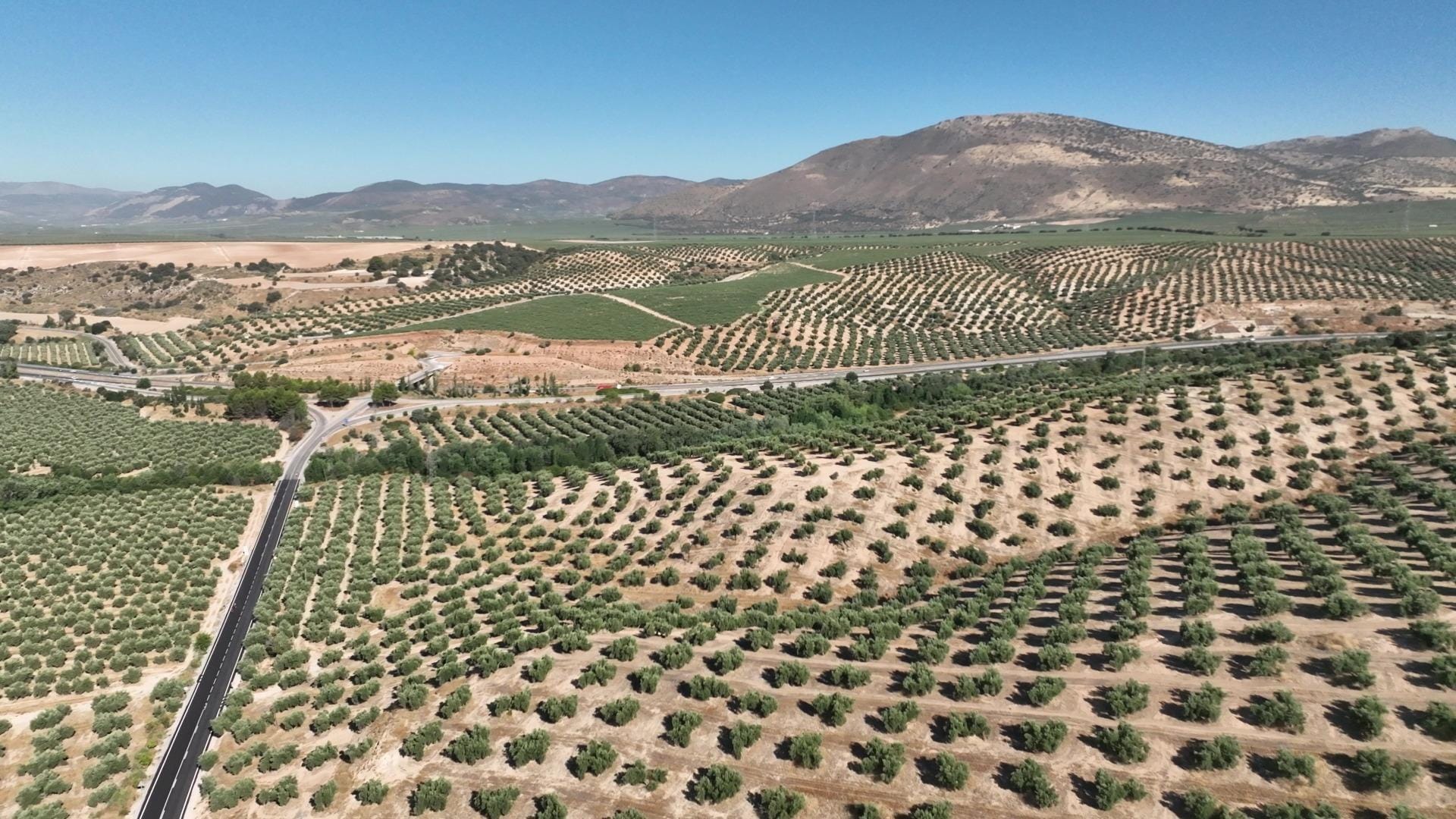 Land in Granada, Granada for sale Aerial- Image 1 of 26