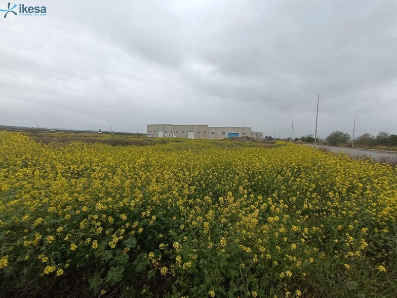 Industrial in Chauchina for sale - Building Photo - Image 3 of 19