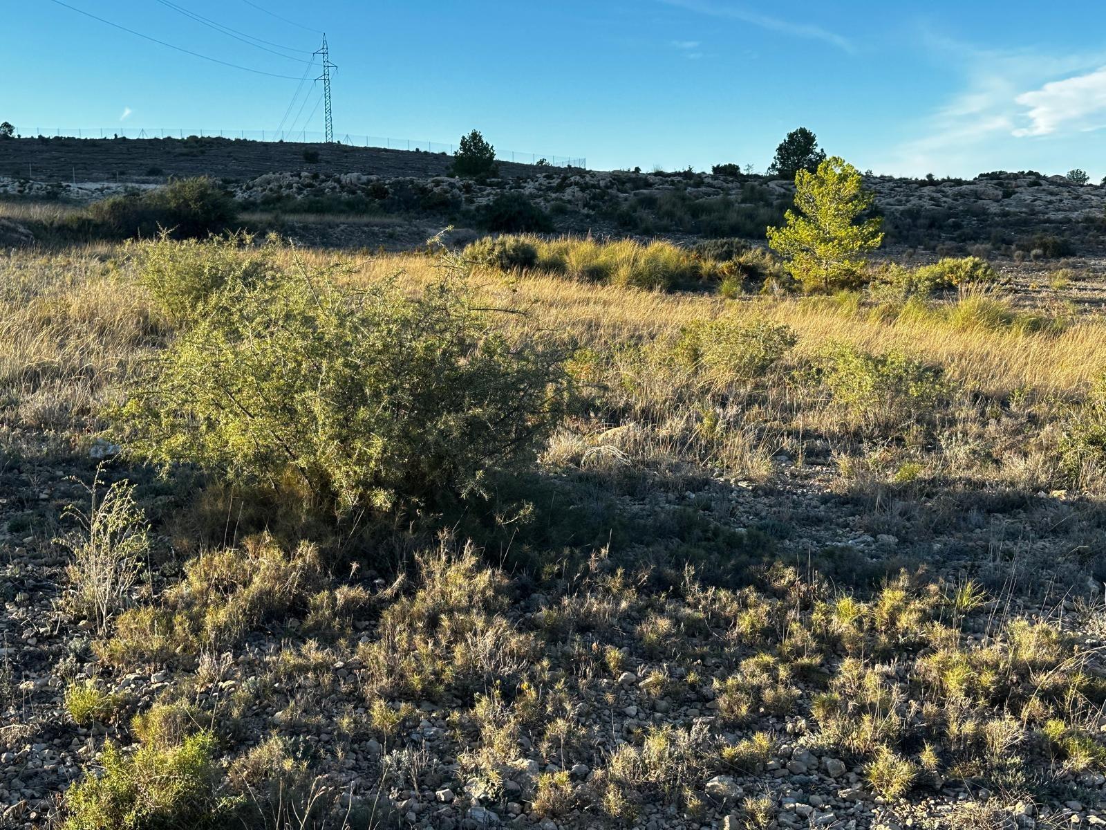 Land in Elda, Alicante for sale Site Plan- Image 1 of 20