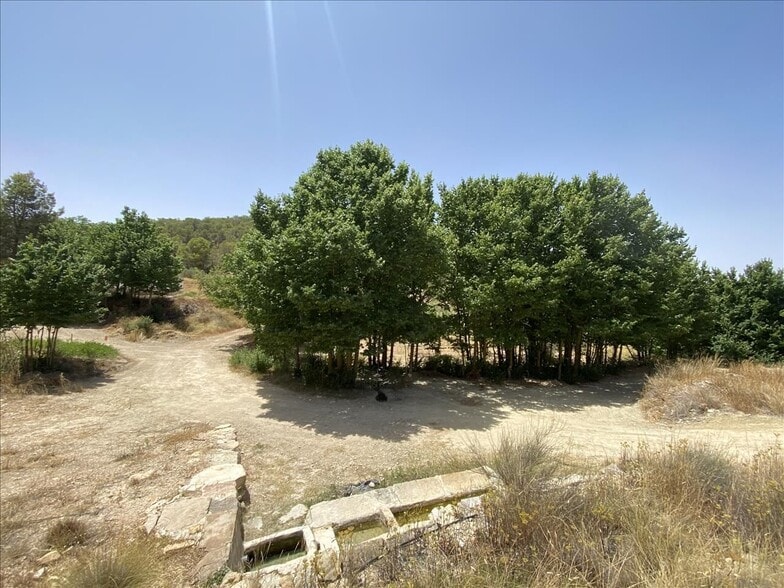 Camino del Peralejo, Sn, Jumilla, Murcia for sale - Building Photo - Image 3 of 17