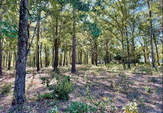 More details for 174 Langford, Blythewood, SC - Land for Sale