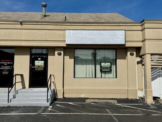 More details for 234 Jericho Tpke, Mineola, NY - Office/Retail for Rent