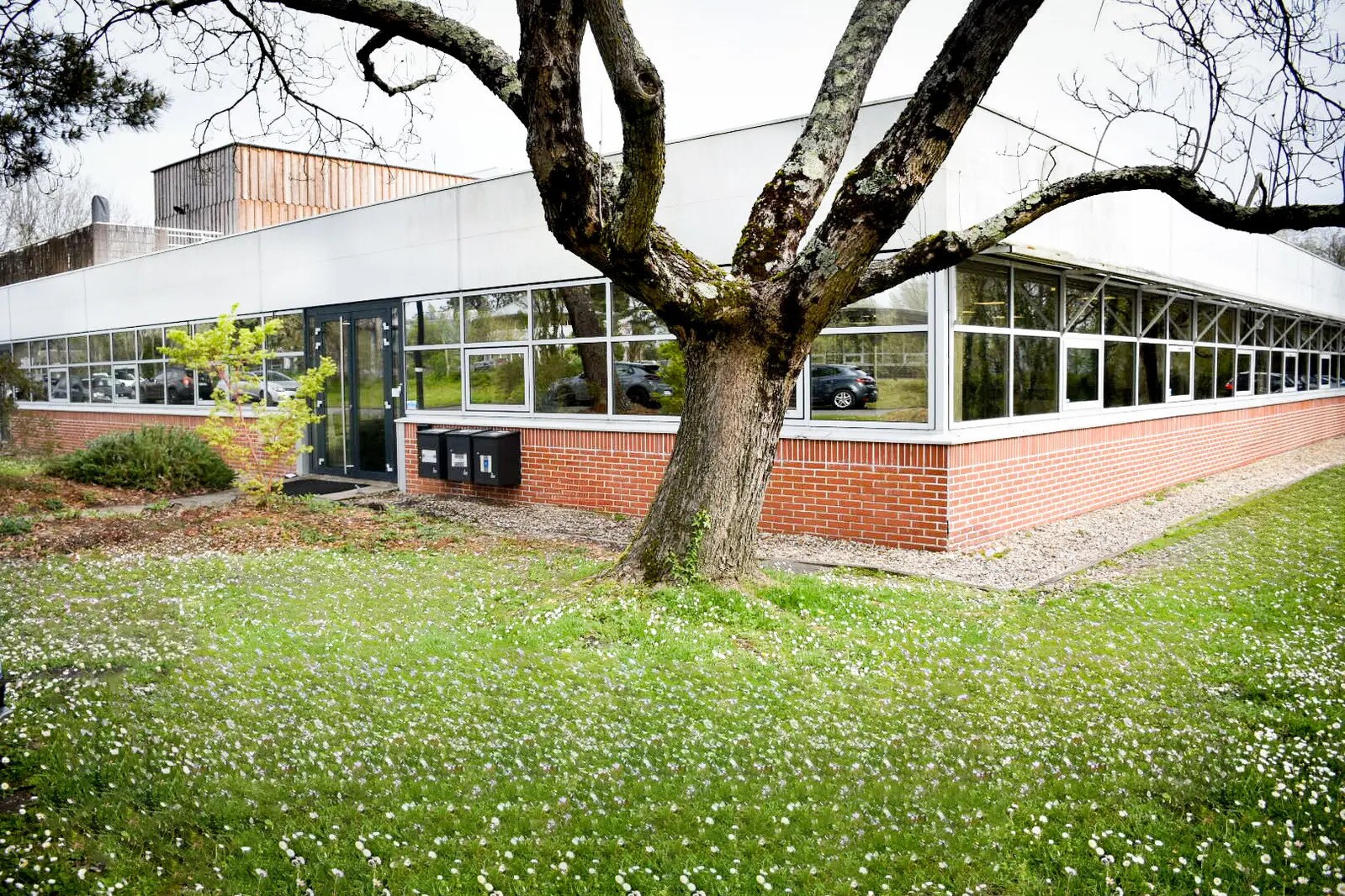 Office in Mérignac to rent Building Photo- Image 1 of 6