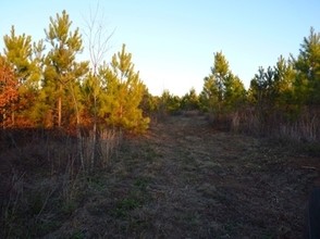 Pearidge Rd, Bostic, NC for sale Primary Photo- Image 1 of 1