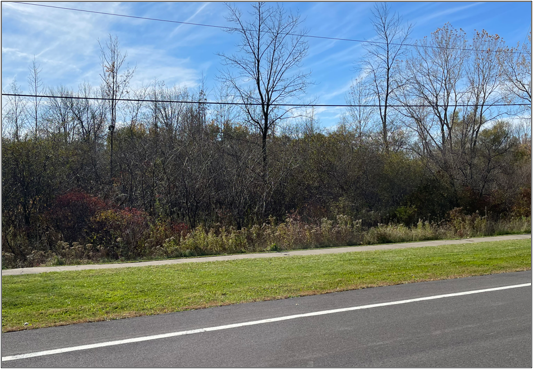 John Walsh Boulevard & McIntosh Drive, Auburn, NY for sale - Primary Photo - Image 1 of 3