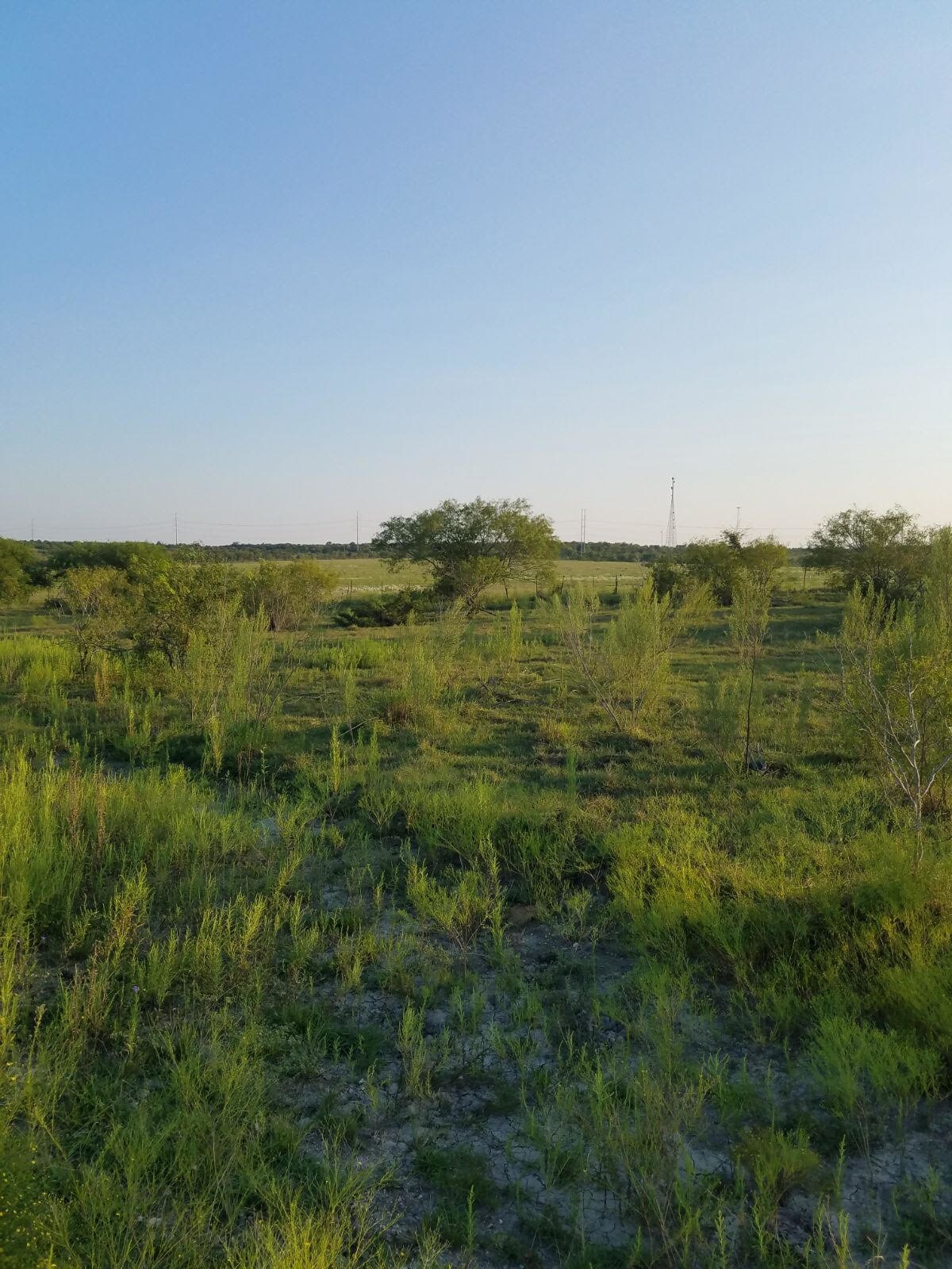 5536 Williamson Rd, Buda, TX for sale Other- Image 1 of 1