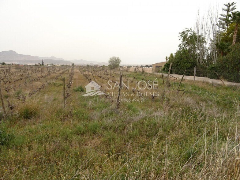 Land in Novelda, Alicante for sale - Primary Photo - Image 1 of 8
