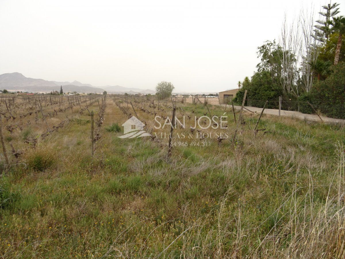 Land in Novelda, Alicante for sale Primary Photo- Image 1 of 9